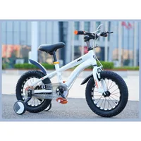 Vélo pour enfants 14-16-18-20 pouces bébé Bick garçon et fille enfant Bick 3-6-9 ans cadre en acier au carbone Double frein 5