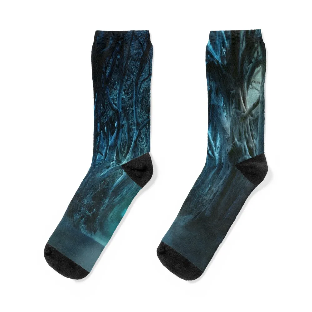 

The Dark Hedges (Beech Trees) Socks soccer anti-slip christmas stocking kawaii Men Socks Luxury Brand Women's