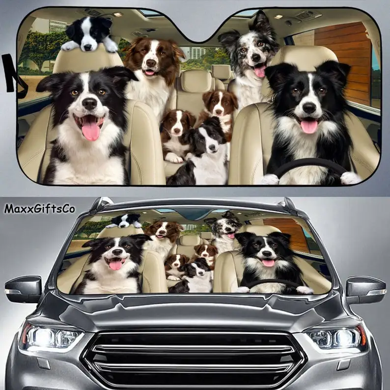 

Border Collie Car Sun Shade, Border Collie Windshield, Dogs Family Sunshade, Dogs Car Accessories, Car Decoration, Gift For Dad,