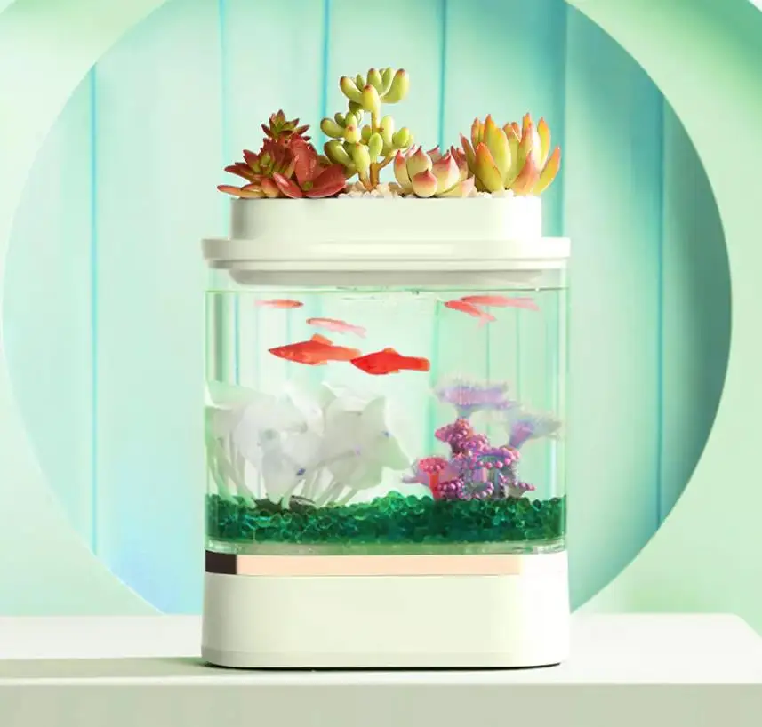 Aggiornamento versione geometria Mini Lazy Fish Tank ricarica USB autopulente  piccolo acquario da giardino con luce a LED a 7 colori - AliExpress