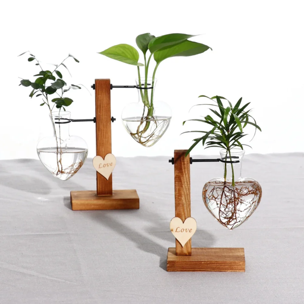 Vintage Glass Bulb Terrarium: Hydroponic Desktop Plant Vase