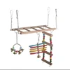 Bird Toy Ladder, Swing, Lifting Ring, Bird Biting Equipment, Peony Parrot Toy 6