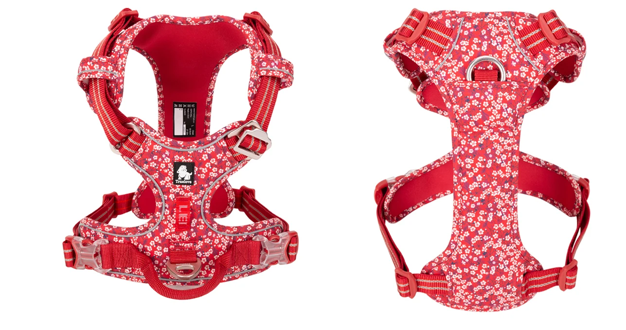 Harnais fleuri collection Truelove - Ajustable et rembourré - Résistant et confortable - Design élégant pour chiens et chats - CASPER&CO