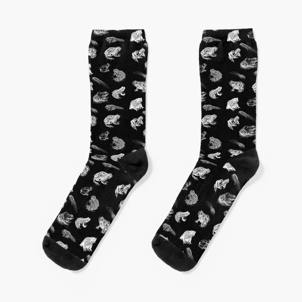 Retro Frog Toad and Tadpole Collage Socks Running compression cycling Socks For Girls Men's