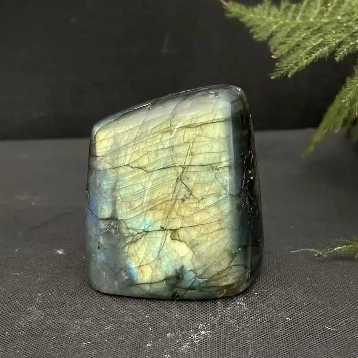 Crystal Free Form Wholesale Natural Crystals Healing Gemstones Purple Labradorite Free Form For Decoration 5