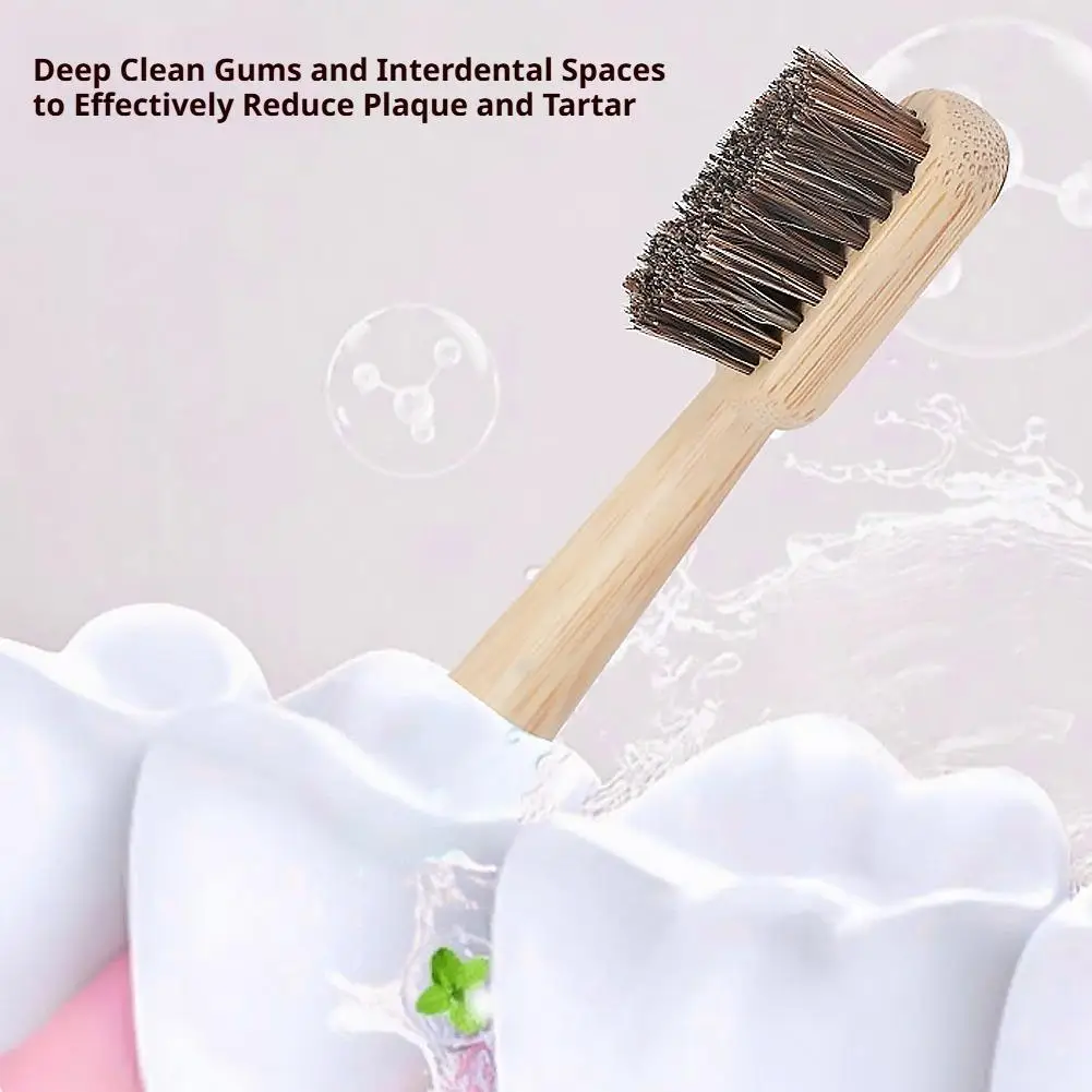 Eco-Friendly Natural Bamboo Toothbrush – Sustainable Bristle Design