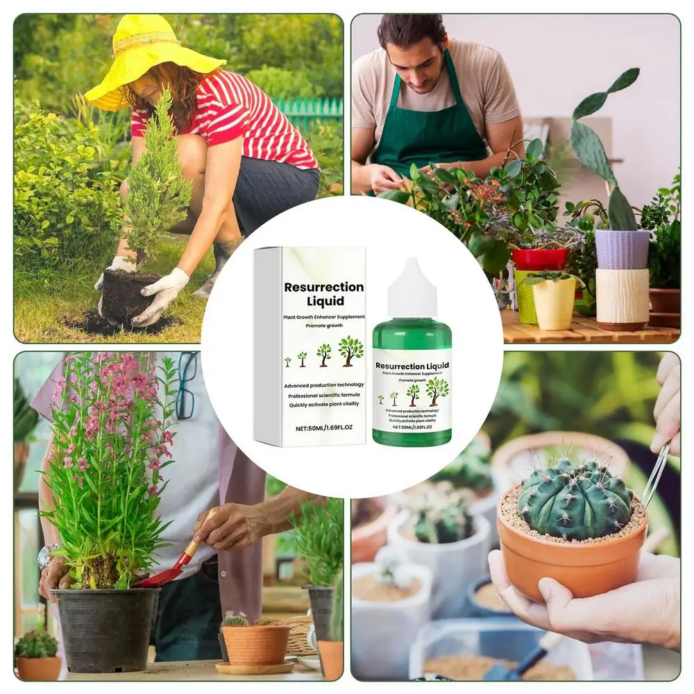 Description Picture 5 of itemPlant Resurrection Liquid Succulent Root Booster Plant Growth Rooting Nutrient Root Stimulator Liquid Fruit Vegetable Fertilizer