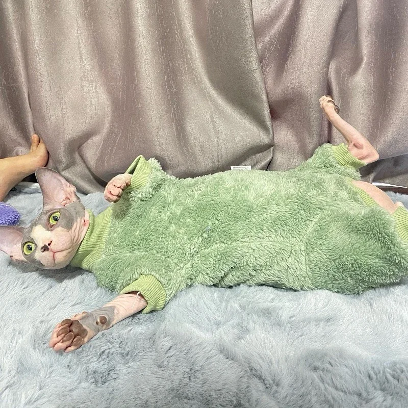 따뜻한 양모 털 없는 고양이 옷 겨울 럭셔리 스핑크스 터틀넥 스웨터 새끼 고양이용 데본 코스튬 애완동물 액세서리