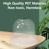 10pcs Plant Protect Bell Covers Reusable Plastic Clear Garden Plant Protection Covers w Fixed Support Pins Plant Tags Anti-frost 2