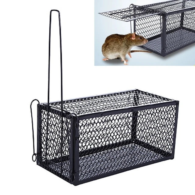2 Pack Mouse Traps Rat Mice Killer Rodent Heavy Duty Trap Indoor and Outdoor