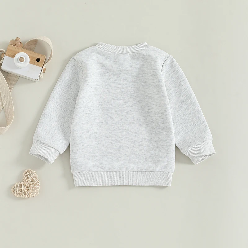 Description Picture 3 of itemBaby Girls Boys Birthday Sweatshirts Letter Print Crew Neck Long Sleeve Toddler Pullovers Fall Clothes Tops