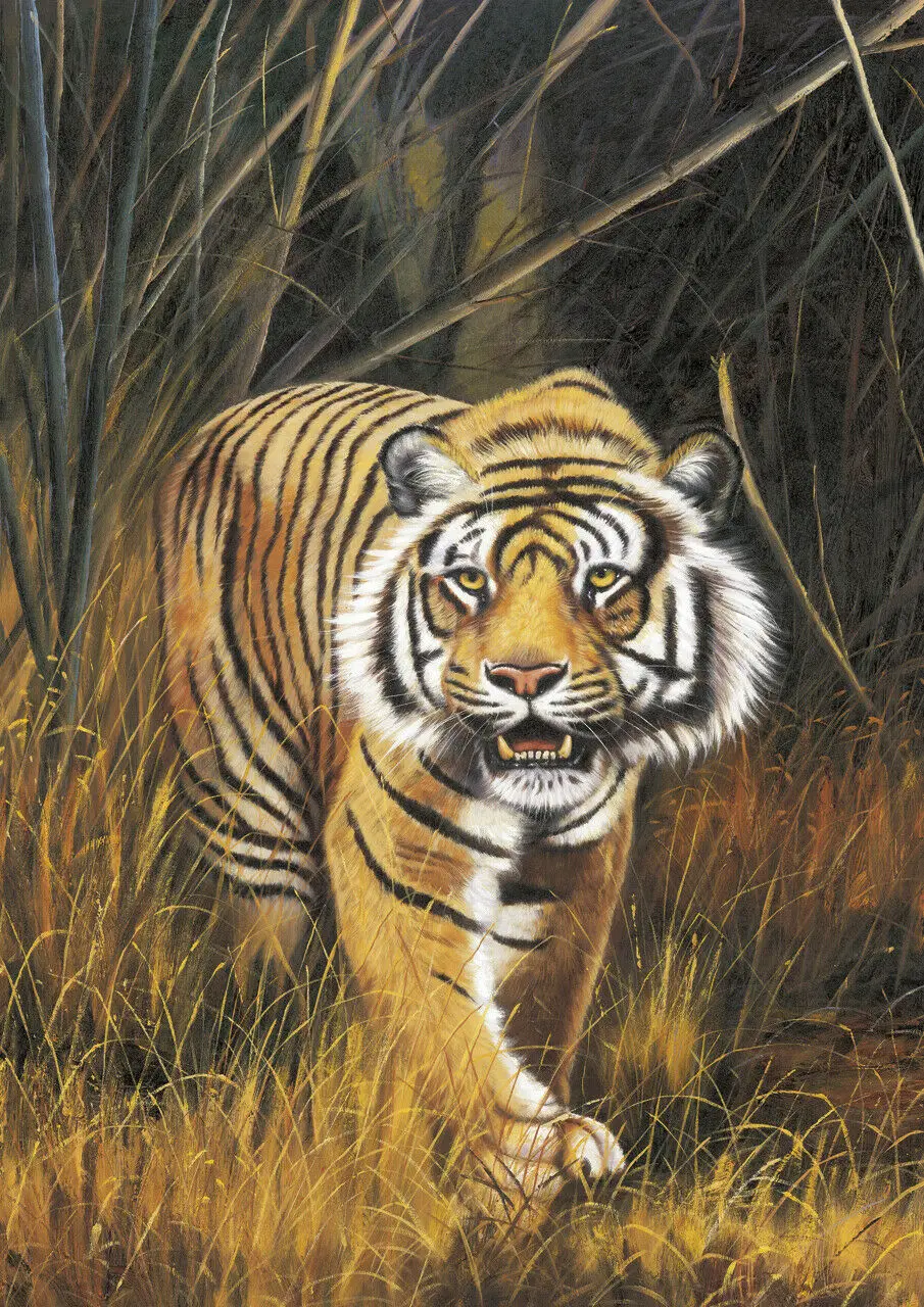 

Tiger Art Picture Print Silk Poster Home Wall Decor
