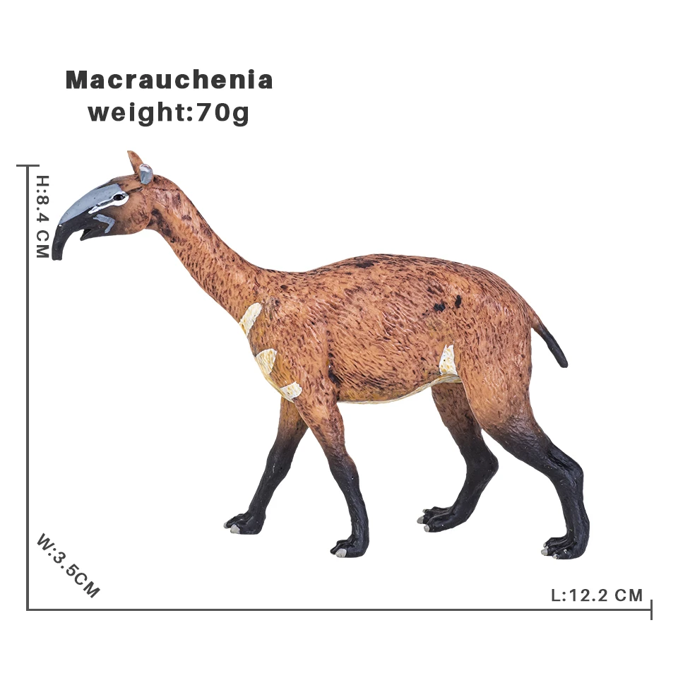 Macrauchenia