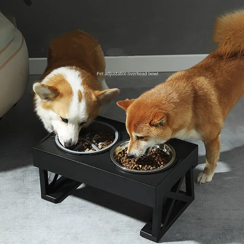 Stainless Steel Raised Food and Water Bowls with Decorative 3.5