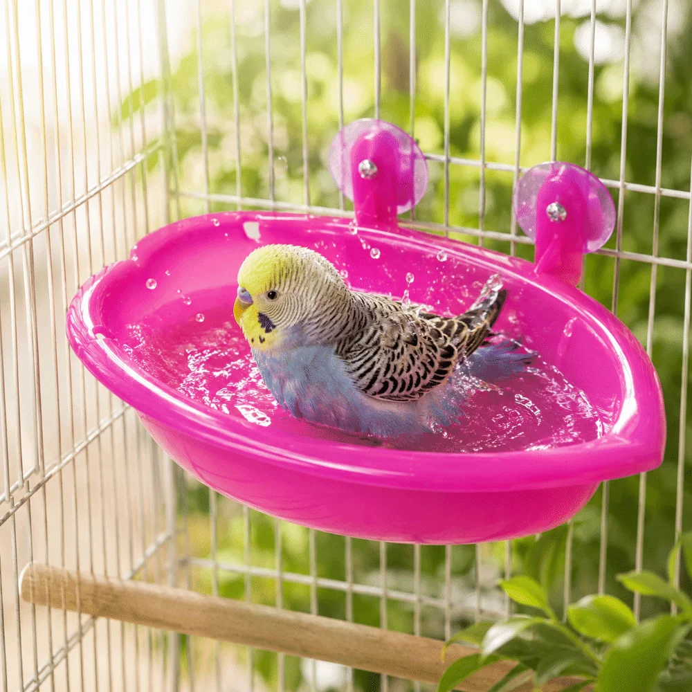 Vasca Multifunzionale per Uccelli, Doccia e Piscina, Resistente, con Contenitore per Cibo di Grande Capacità, Ciotola per Bere, Gabbia per Uccelli