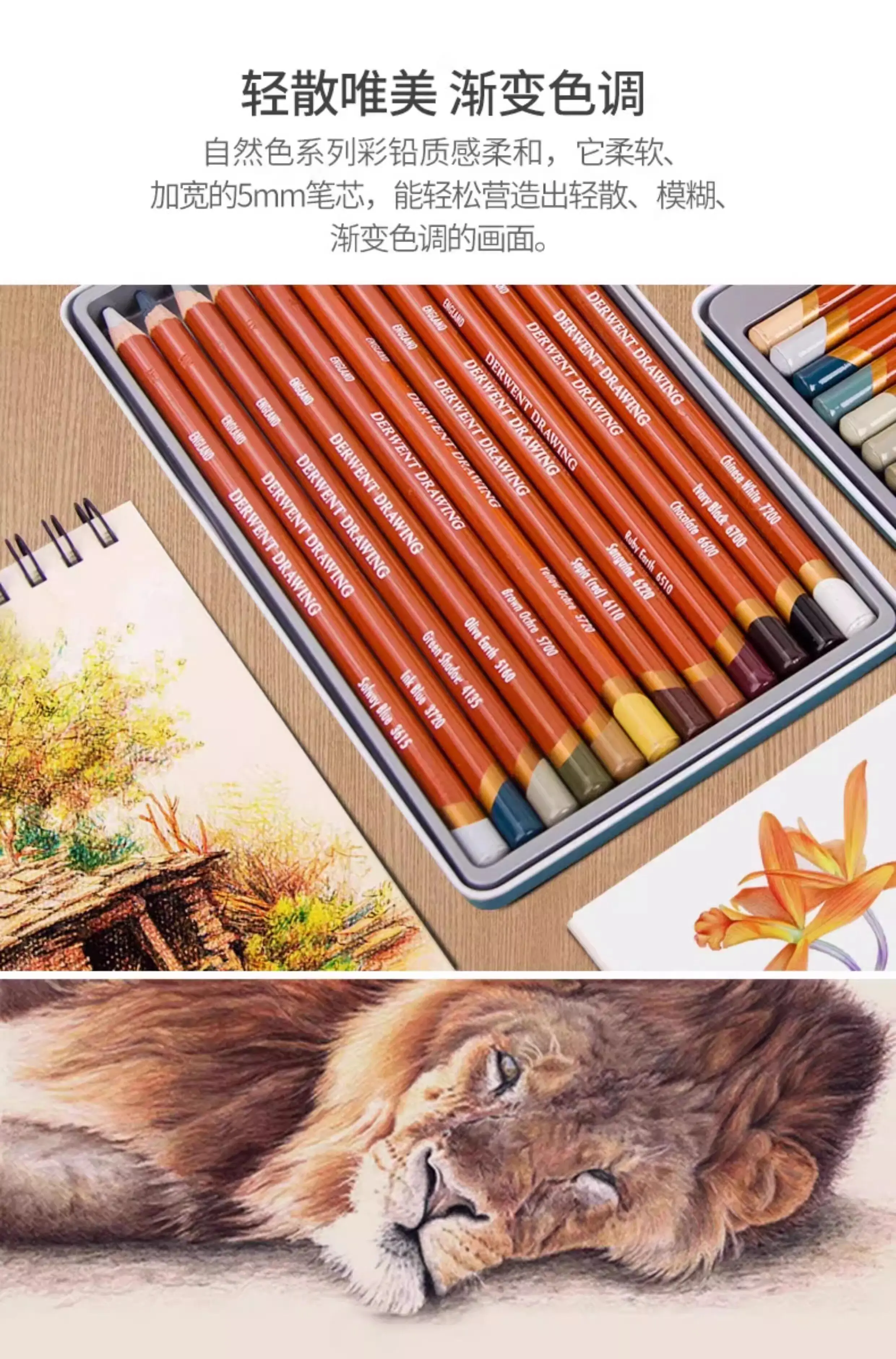 더웬트 드로잉 천연 색연필 - 인물화 및 사실적인 그림 그리기에 이상적, 학생들과 미술 시험에 적합