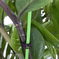 Binding Wire for Floristry Flower Arranging length 3