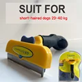 (L)Short hair dogs
