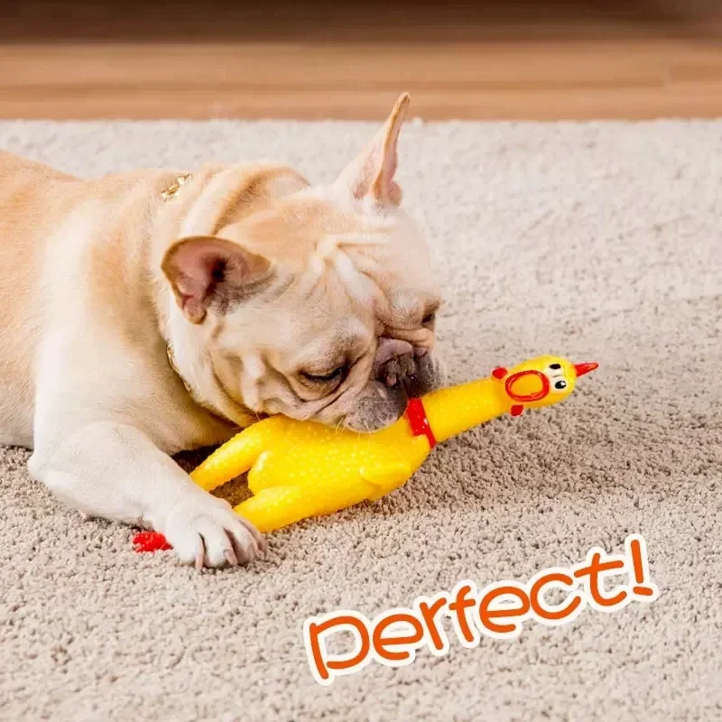 Funny Screaming Chicken Toys, Squeezing Sound, Teeth Grinding, Suitable for Small to Medium Dogs, Pet Products, Home Supplies 5