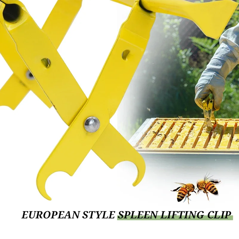 Beekeeping Tools Beekeeping Accessories
