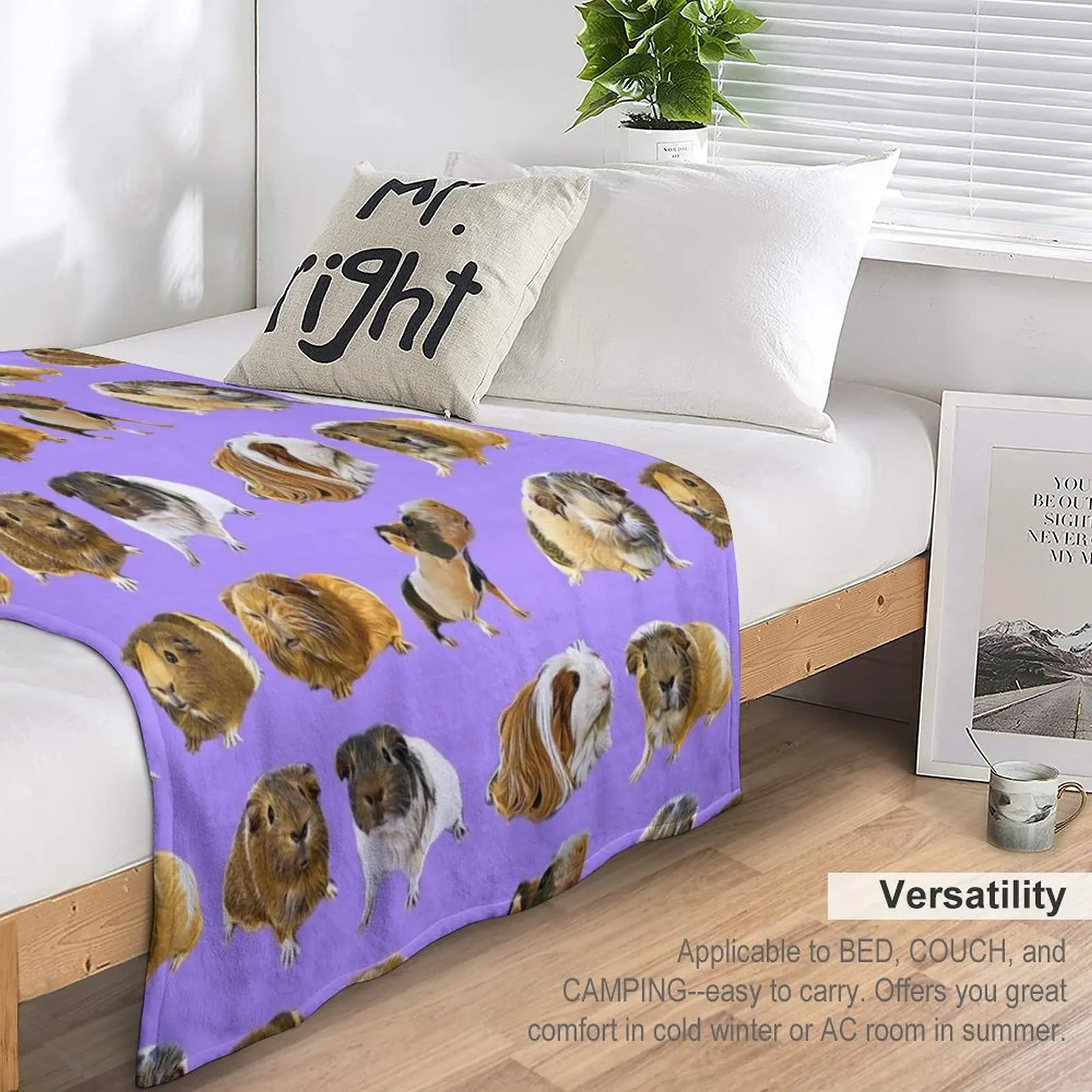 ����Ǳ� �پ��� ������ ���, ��� ���, ǫ���� ���, ���� ���� ��� ���