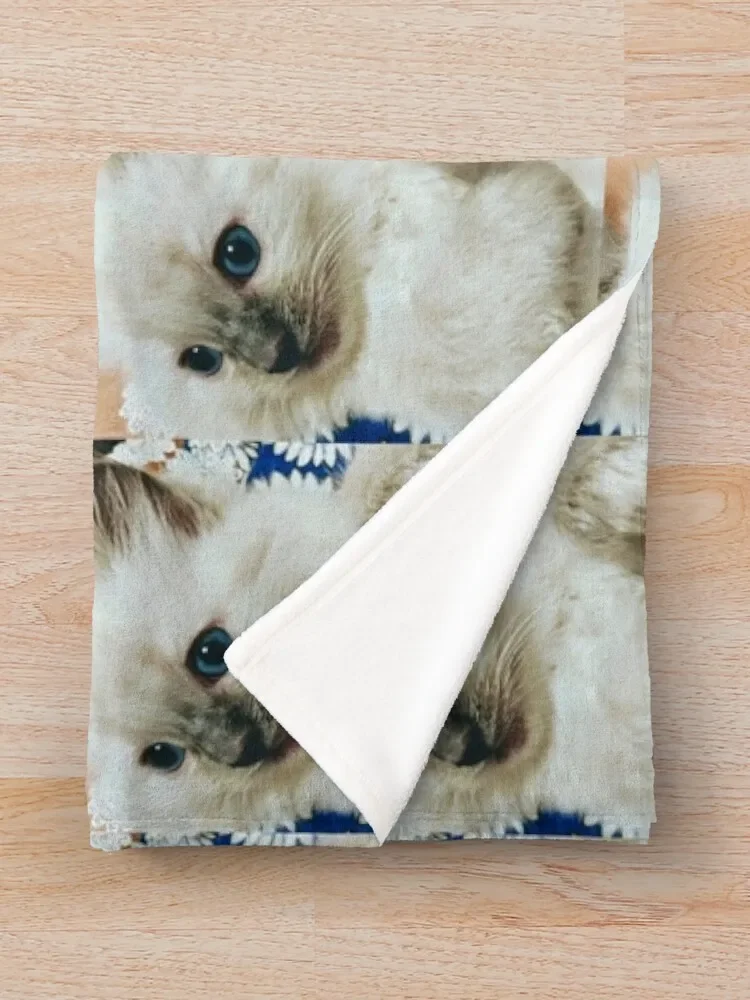 ���׵� ������ ������ ���, ���Ÿ� �귣��, �Ƹ��ٿ� ��� �� ���