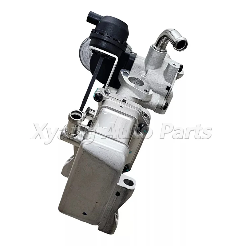 Auto Spare Parts High Pressure EGRASM-HP Exhaust Gas EGR Asm HP EGR Valve For SAIC Maxus V80 G10 T60 C00291102