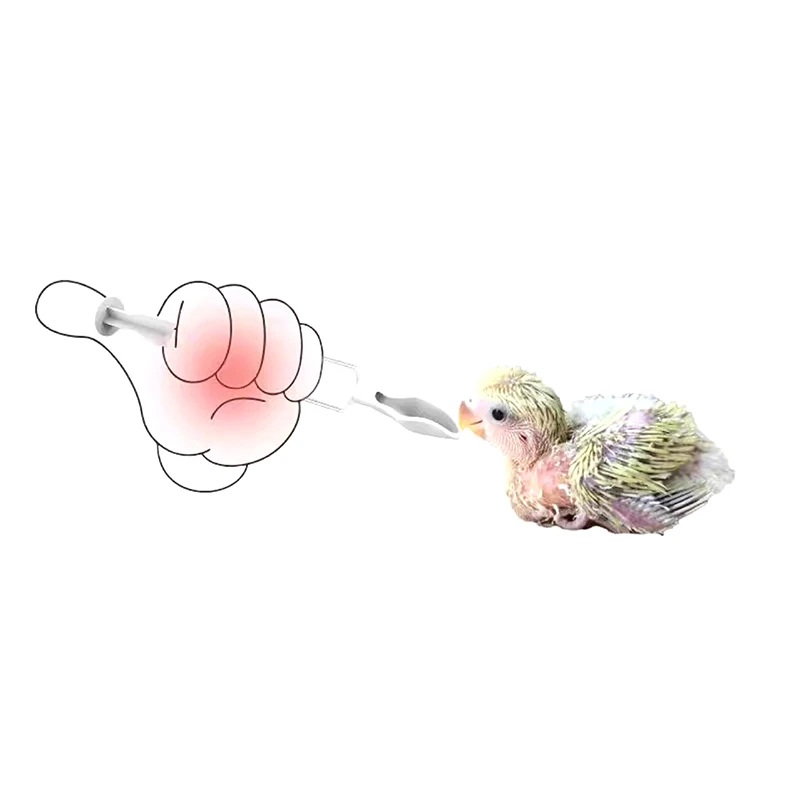 4Pcs Bird Parrot Feeder Spoon with Manual Syringe Baby Bird Water Milk Medicine Feeding Syringe Feeding Needle Supplies bird feeder parrot feeder bird feeding syringe pet water feeder bird oral gavage needle