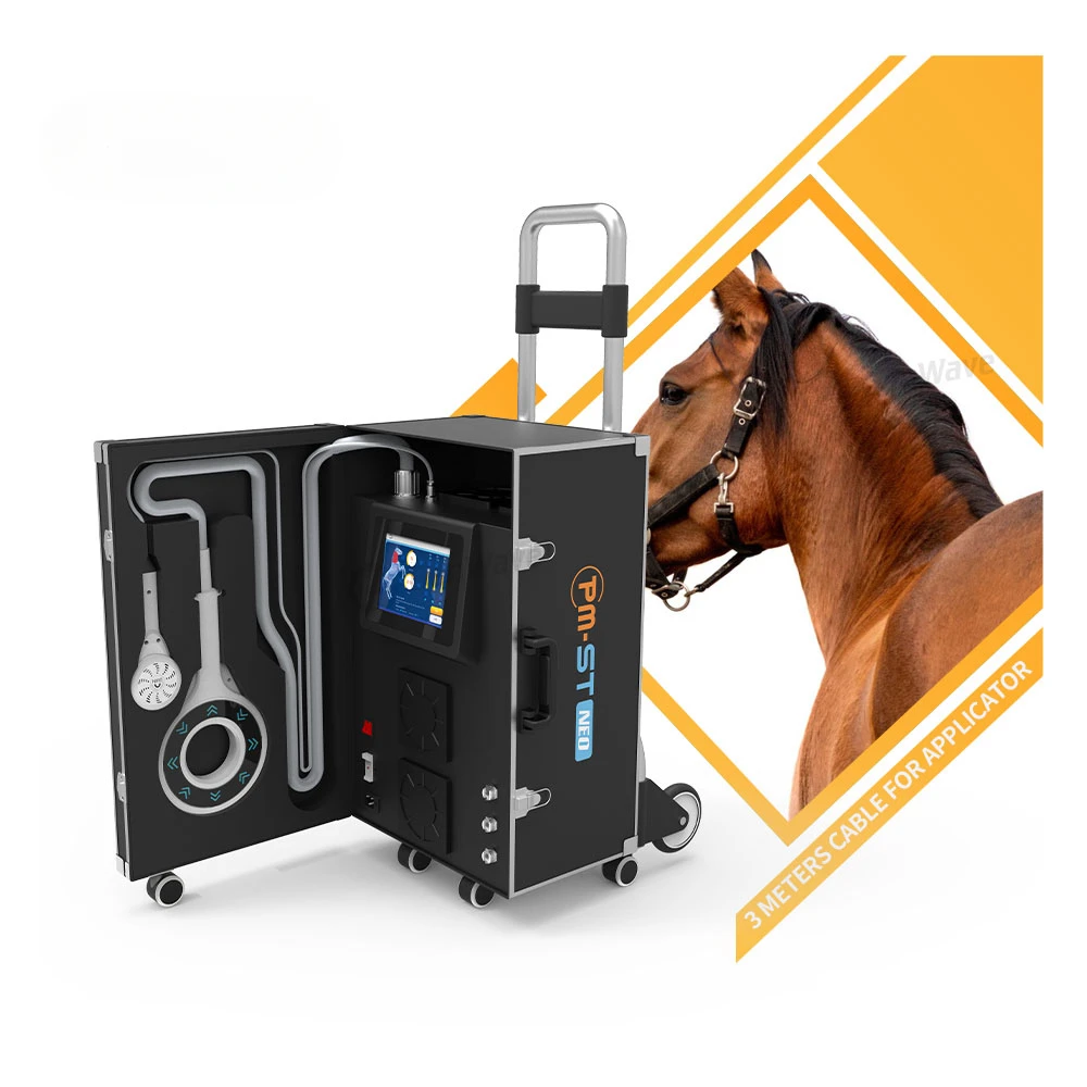 Terapia Magneto Portatile Magnetoterapia Pemf Magnetoterapia Pemf Dispositivo Di Terapia Magnetica Macchina