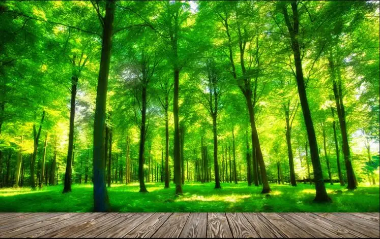 água paisagem decoração, parede 3D Wallpaper