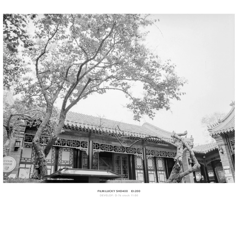 1-10 Rolls 120mm SHD 400 LUCKY ISO 400 film Black and white Negative film For Kodak Fujifilm Camera（Expiration Date: 2026）