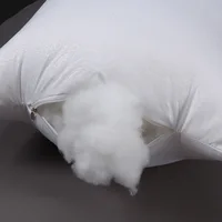30*30/35*55/30*50/60*60 /40*40/45*45/40*60/65*65cm Solid Cushion Core Head Waist Pillow Inner PP Cotton Filler Cushion Filling 4
