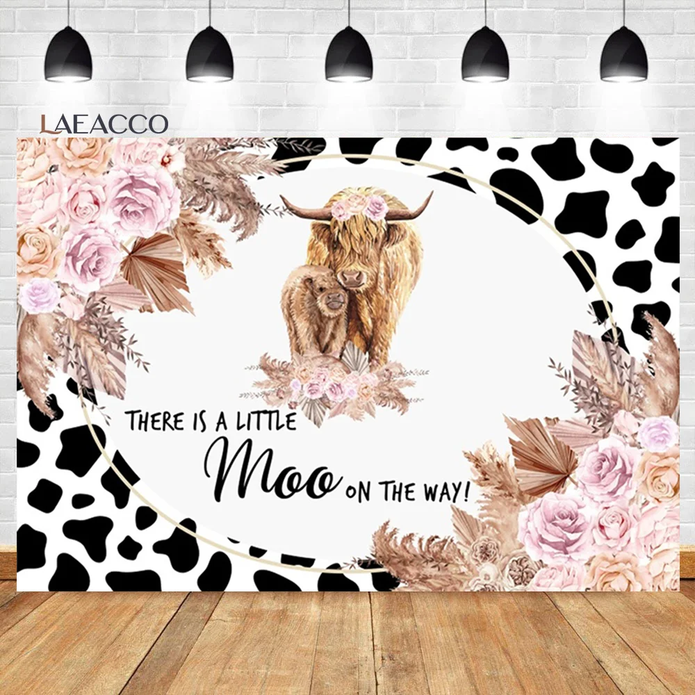 Laeacco ̷  ̺   äȭ   ҳ ҳ    ʻȭ  