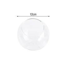 8/10/12/15CM Clear Glass Ball Vase Micro Landscape Succulent Plant Terrarium Container Flower Pots Home Decor Vase Decoration - Image 6