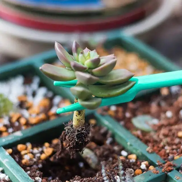 4 Db Ültetvényes Kézi Vetőmag -Adagoló Készlet Növényátültetési Szerszám - Image 4