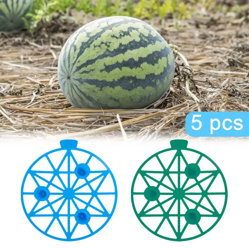 

Watermelon Support Stand 5pcs Garden Plant Support Melon Cradle Melon Supports For Watermelon Cantaloupe Pumpkins