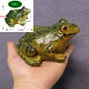 frog-size-l