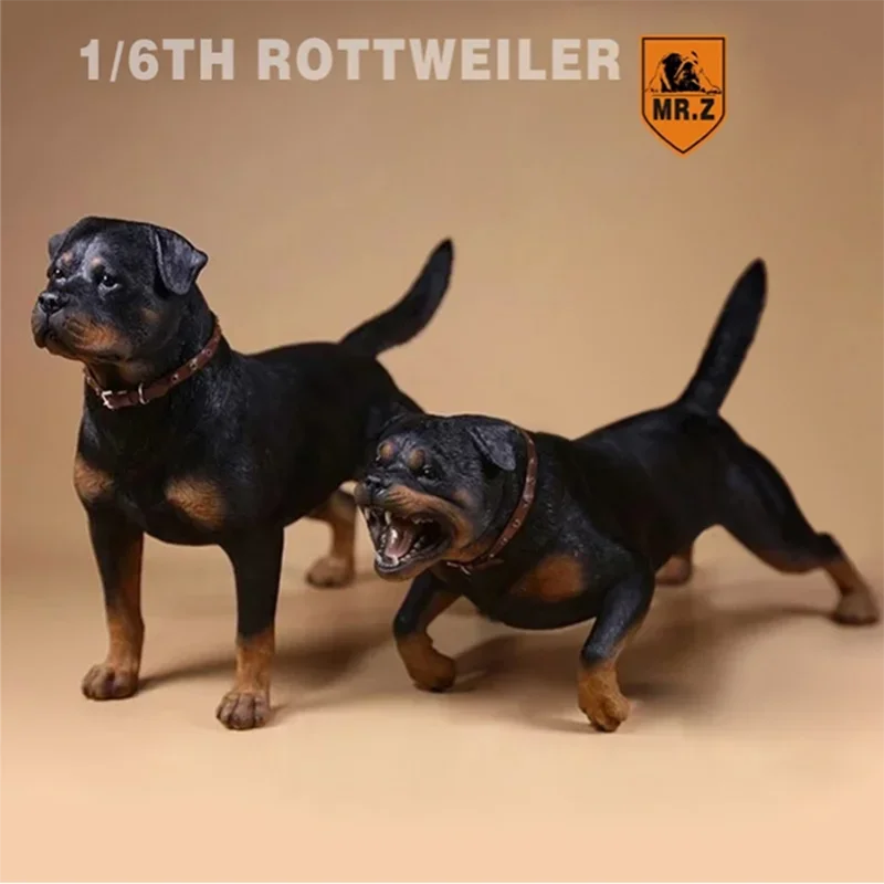 特撮 CollectA Rottweiler Figure 6g7v4d0 Amazon.com: CollectA Rottweiler Figure : Toys & Games