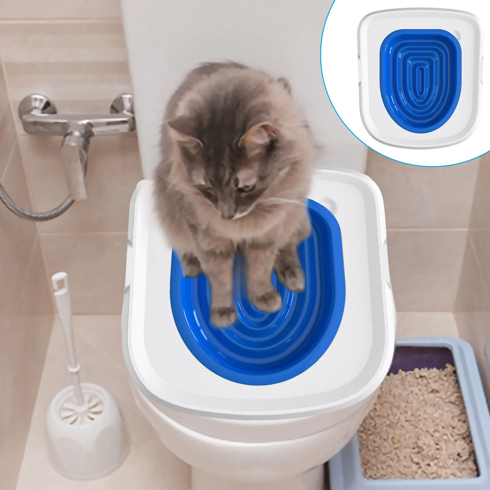 Toilet Seat Potty Training Do Cats Have To Be Trained To Use A