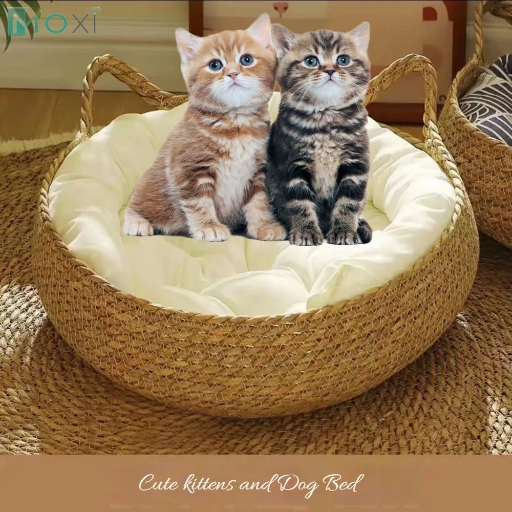 

Woven Removable Cushion Sleeping House Cat Bed Four Season Cat Scratching Board Rattan Washable Rabbit Litter Cat Supplies 1Pc