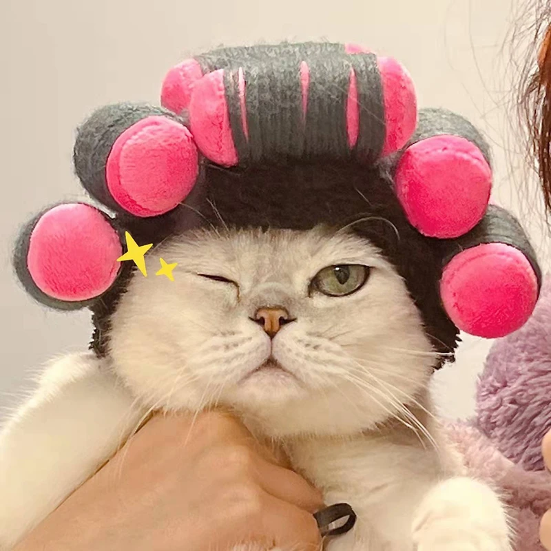 Latest Cat Wig With Hair Rollers Adorable Curly Hair Cat Headdress Also