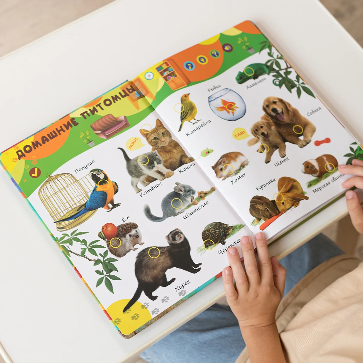 Biidi learning game for kids Montessori learning book for children intelligence educational Russian electronic book picture books 5