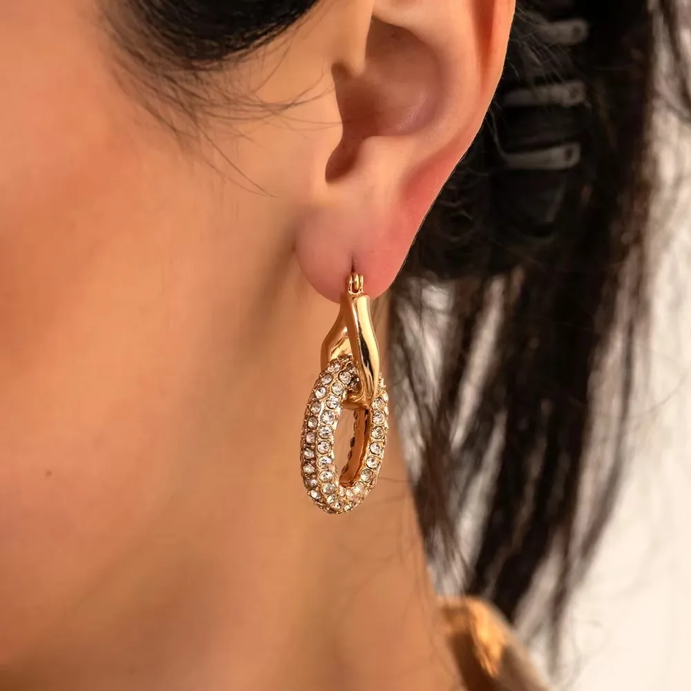 Stainless Steel Vintage Double Circle Round Zircon Dangle Earrings Gold Plated Twist Huggie Hoops Ear Buckle Exquisite Jewelry