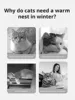 Cute cartoon pet mat dog mat four seasons mat semienclosed cat nest bed pet supplies bear mat 4
