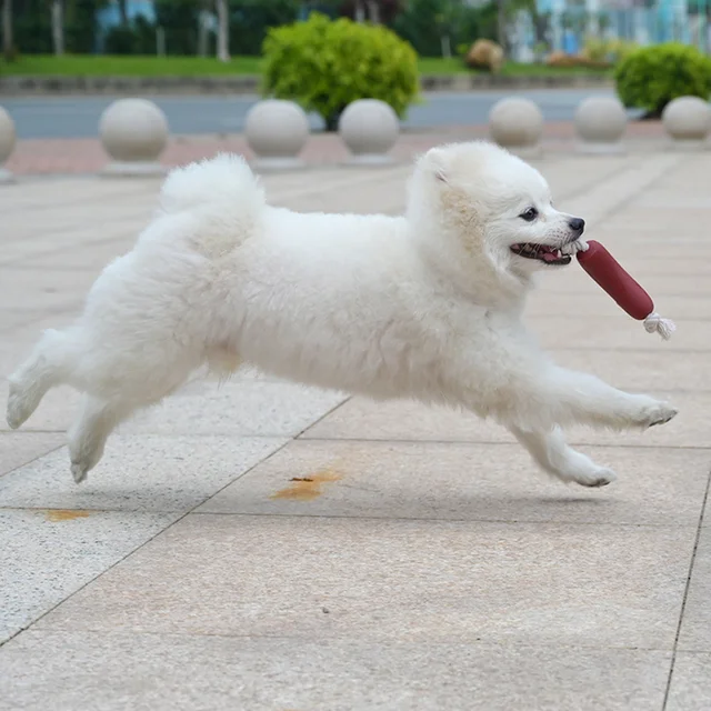 os a macher chien à mâcher en forme de saucisse pour chien, 1/3 pièces, interactif, amusant – Image 5