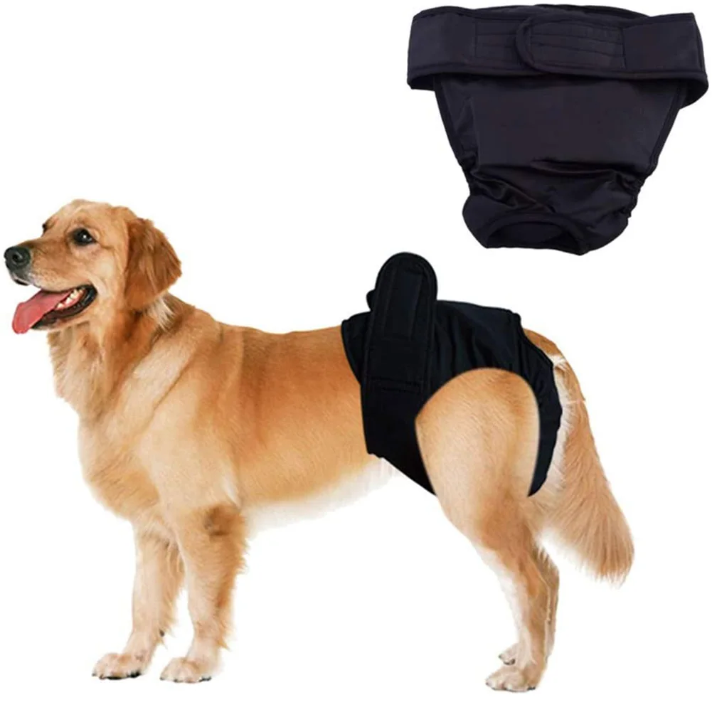 dachshund season pants