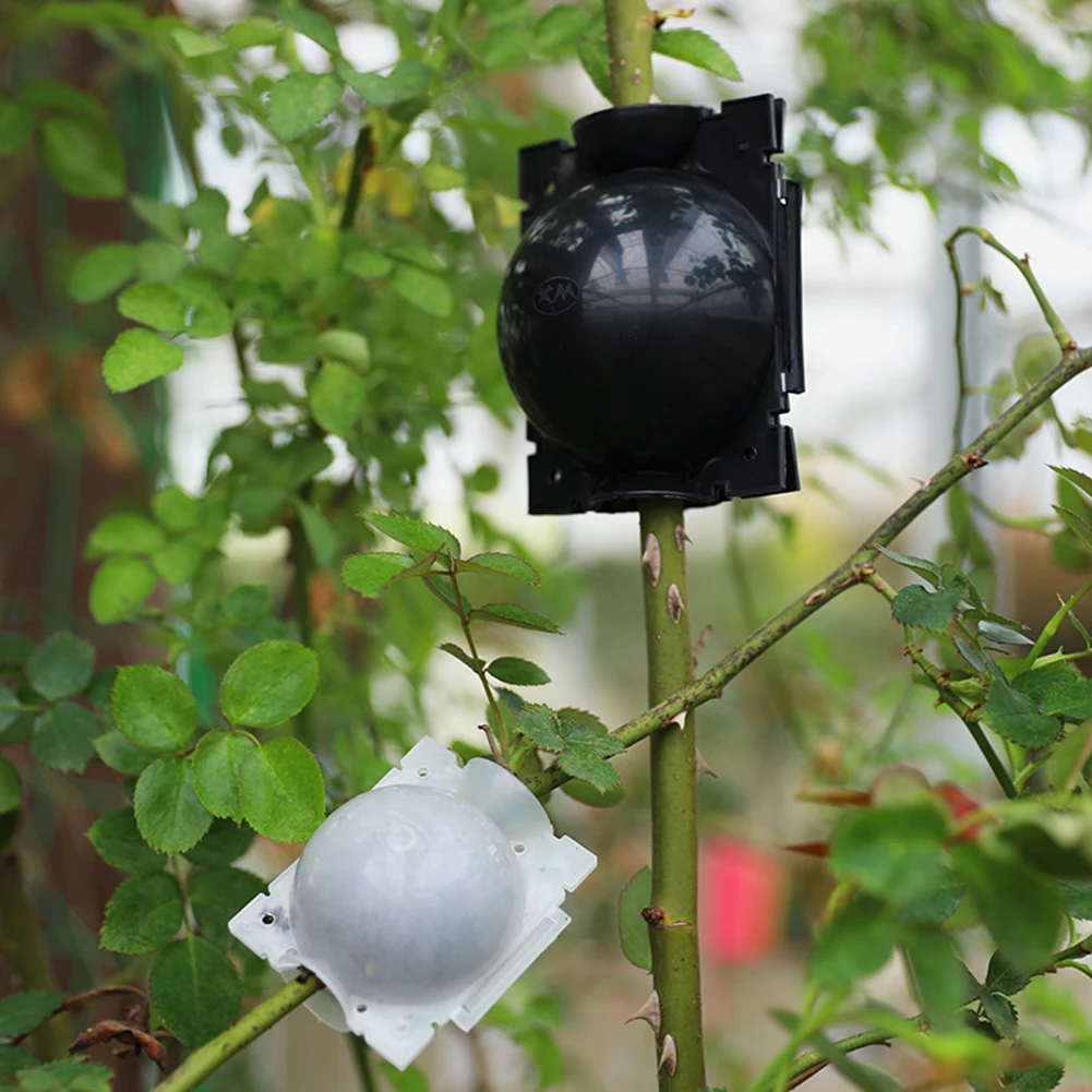 Plant Rooting Ball Incubator High Pressure Incubator Grafted Tree Rooting Seedling Cultivation
