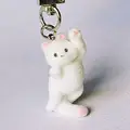 Jumping Cat
