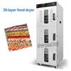 LT-95 Commercial 30-layers Food Dehydrator Stainless Steel Dried Fruit Machine Fruit Vegetable Dehydrated Food Dryer 110V/220V 1