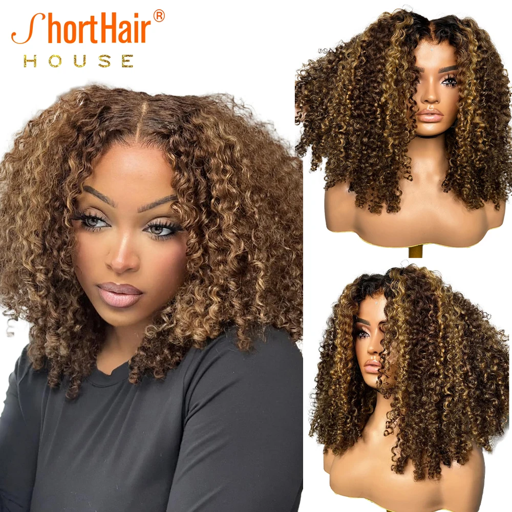 Wear And Go Glueless Wigs Luxury Curly Human Hair Wigs 13x4 Transparent Lace Frontal 4x4 PreCut Lace Closure Highlight